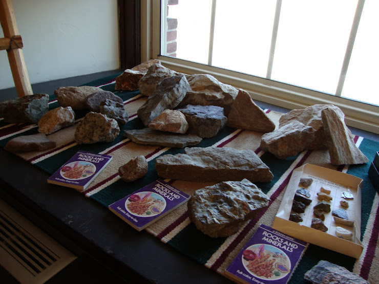 Sedimentary Rocks from Pennsylvannia