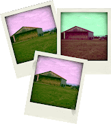 Vous vous apercevrez que si vous utilisez la même photo 10 fois, . (montage )