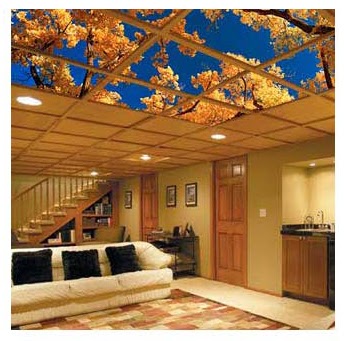 art rent and lease a solution for those dull boring 8 foot lights
