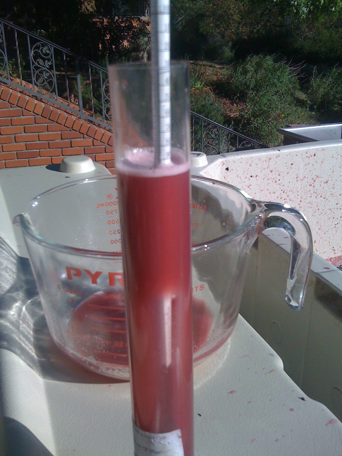 [IMG_1102.JPG]