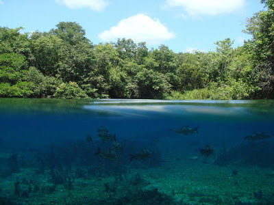 cidades mato grosso