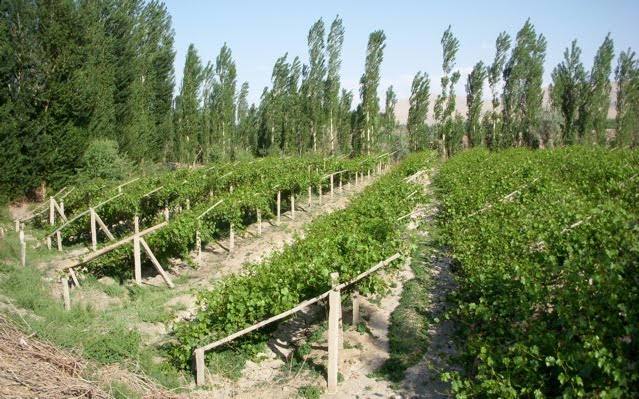 De Baan S Reise 2010 06 20