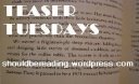 [TeaserTuesday.bmp]