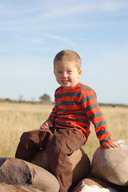 Little Brother