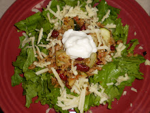 Spanish Rice on a bed of Lettuce