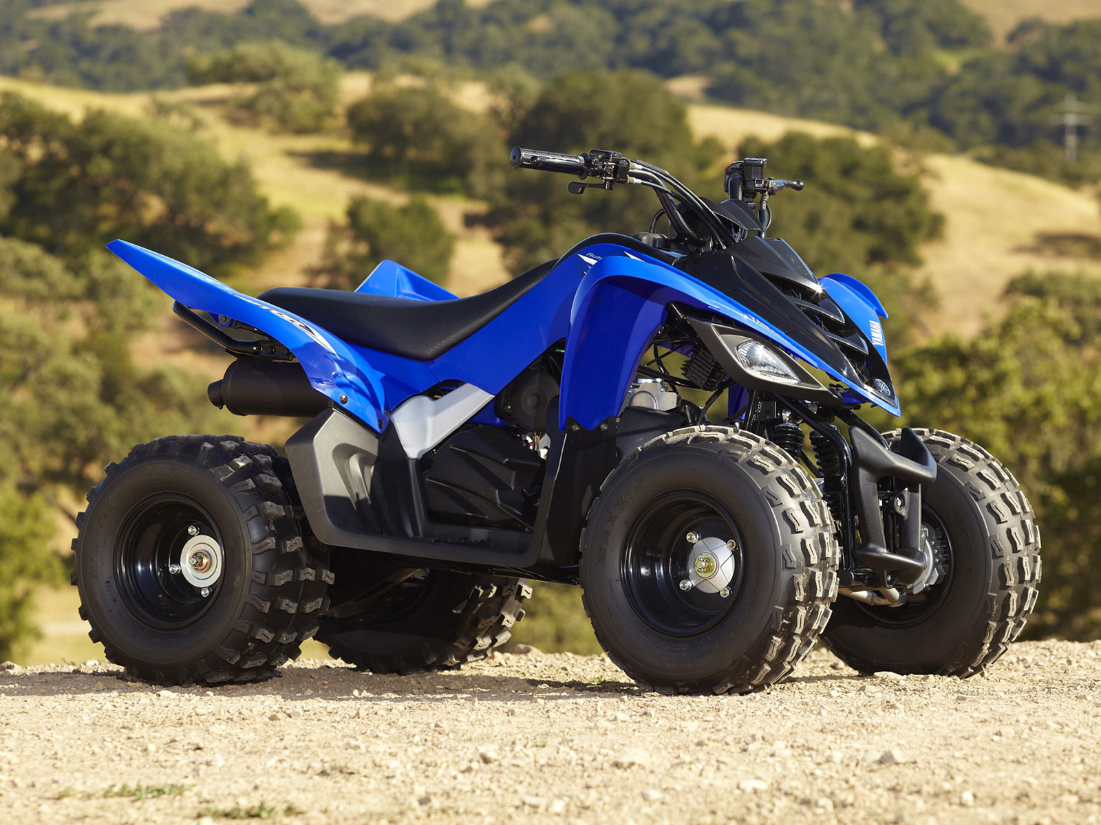 Yamaha Youth Atv Yamaha Youth Atv