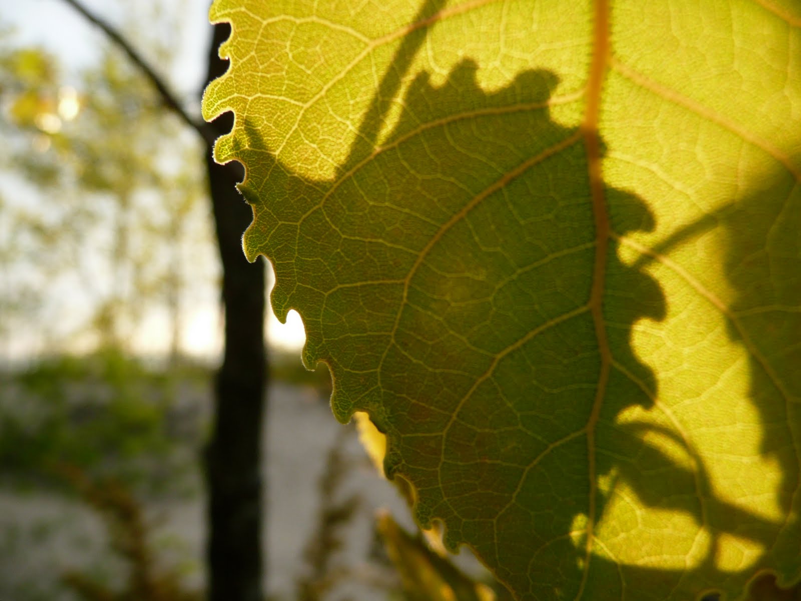 [P1100739_2.JPG]