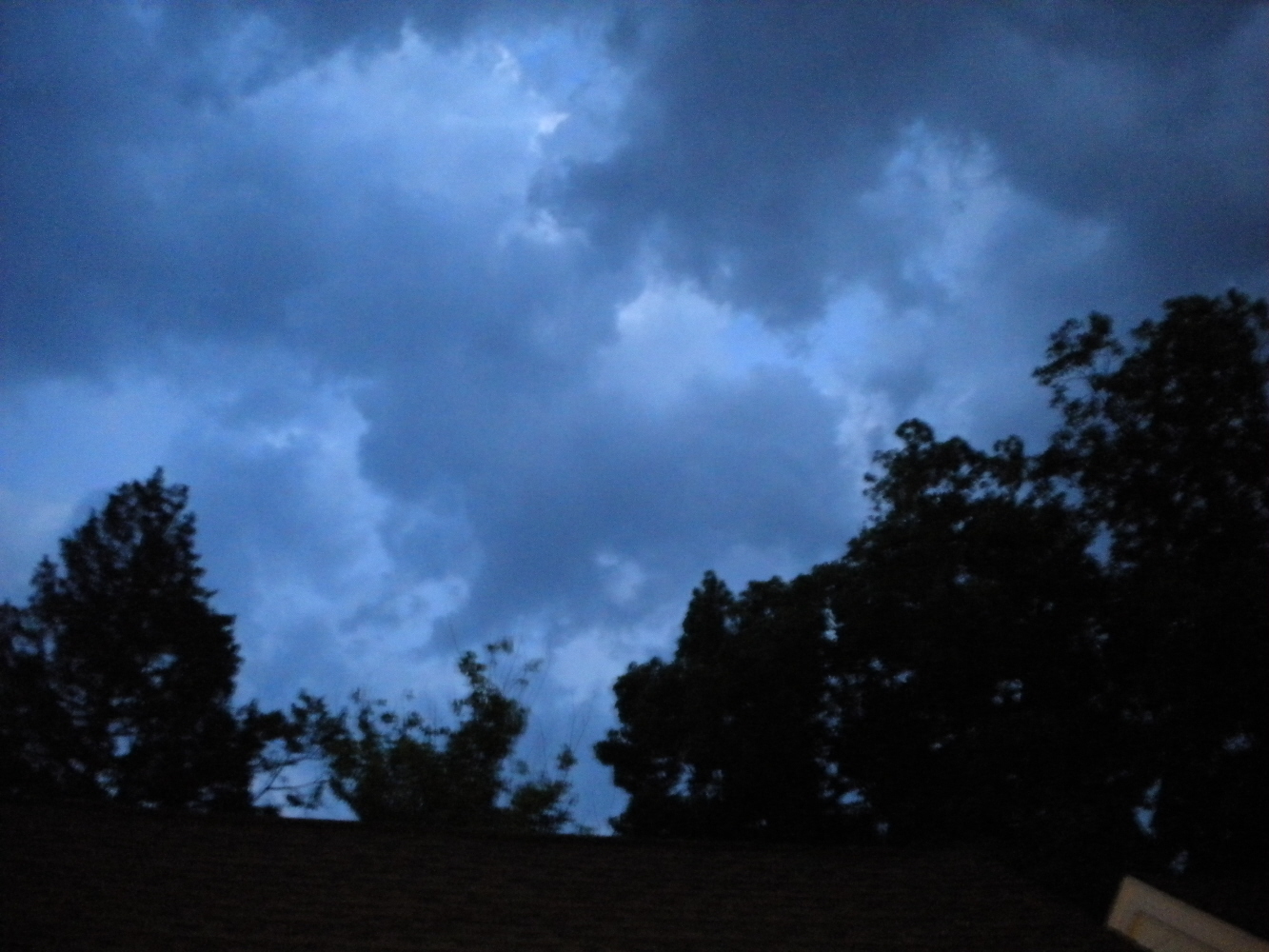 Sherri's Jubilee Storm Clouds and Roses