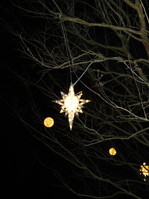Sherri's Jubilee: Daniel Stowe Botanical Garden with Christmas Lights!