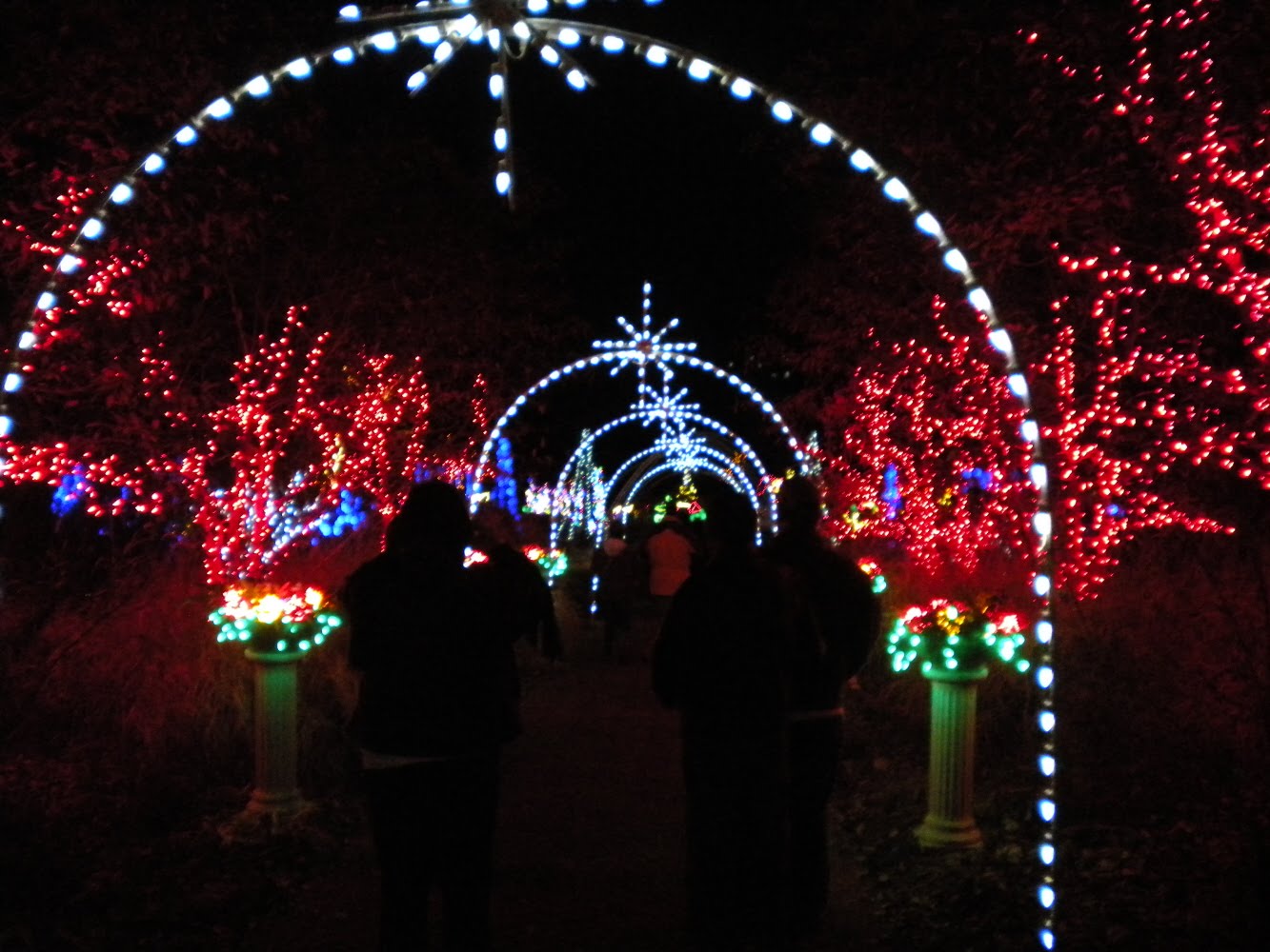 Sherri's Jubilee Daniel Stowe Botanical Garden with Christmas Lights!