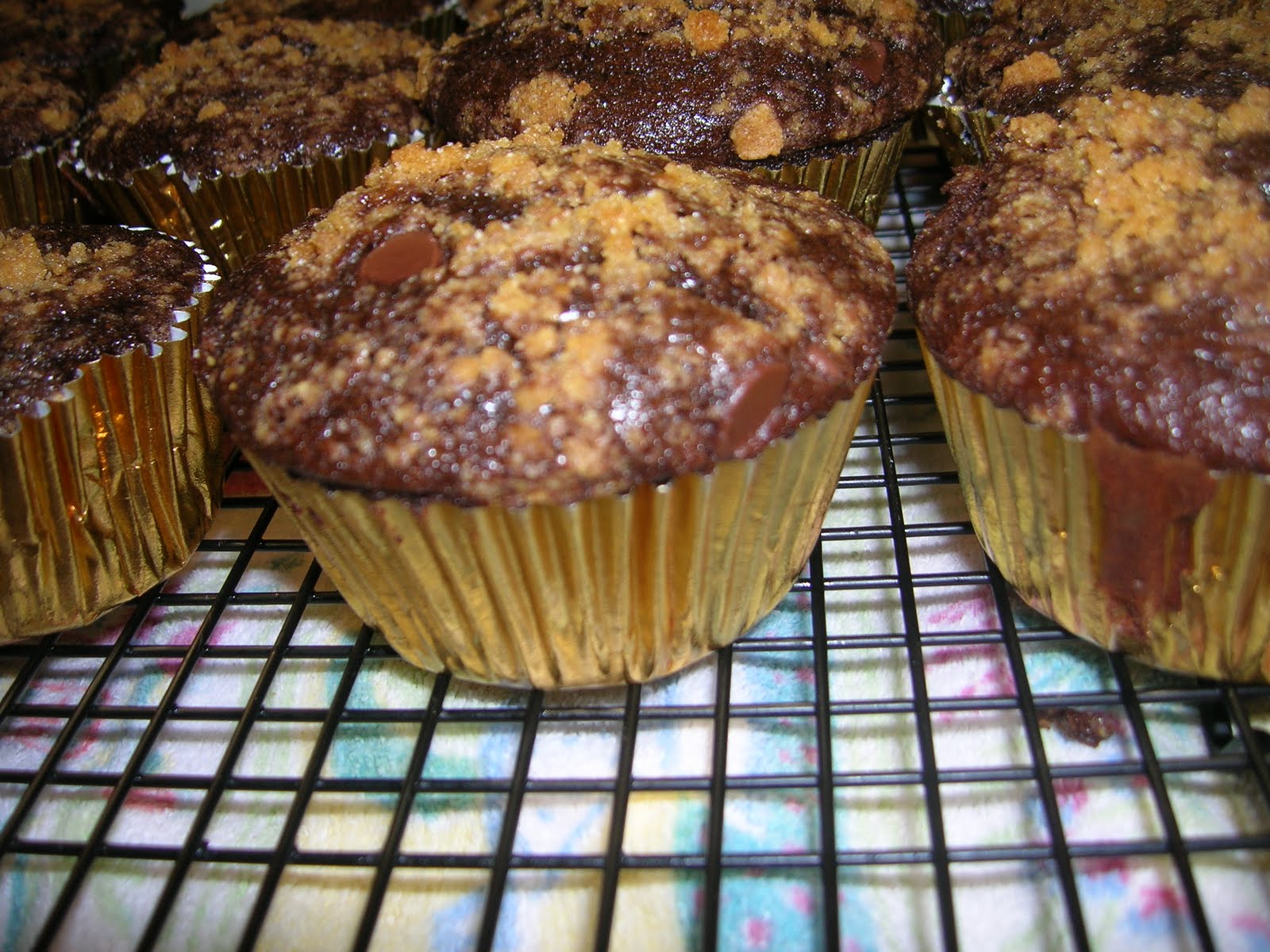 Creative Cook & Son Chocolate Graham Cracker Cupcakes with Toasted