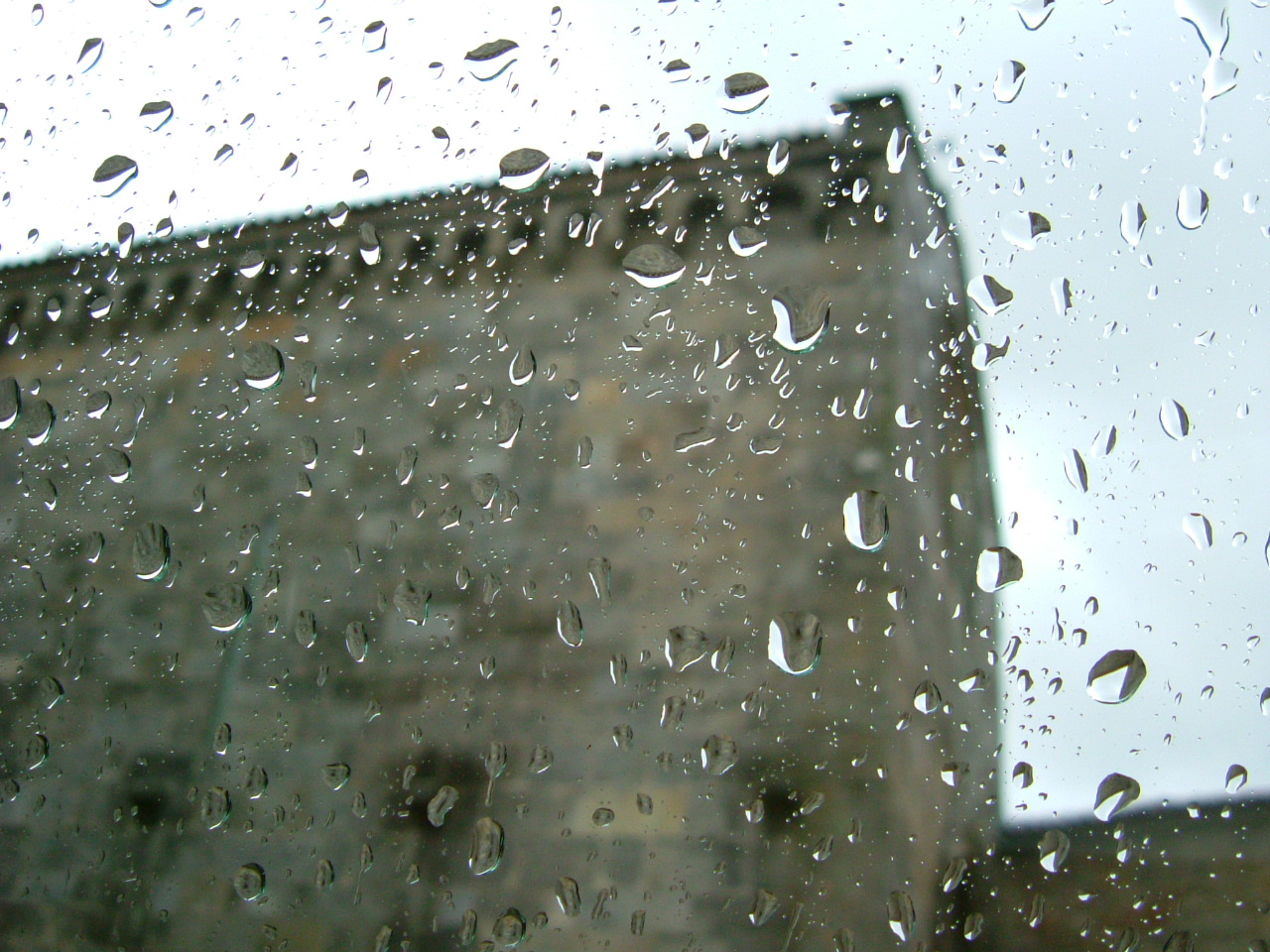 [DSCF0041.JPG]