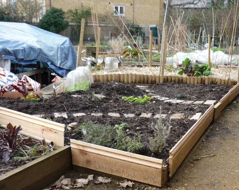 My little plot Alternatives and options for edging your raised beds.