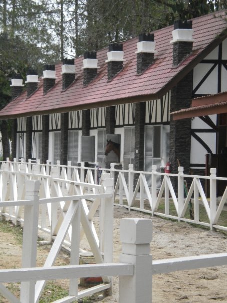 [10234_1210128983406_1534194925_30588170_180083_n.jpg]