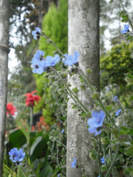 [10234_1210151463968_1534194925_30588423_5607712_n.jpg]