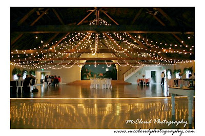Oregon Wedding Photographers Family Photography Newborn Green