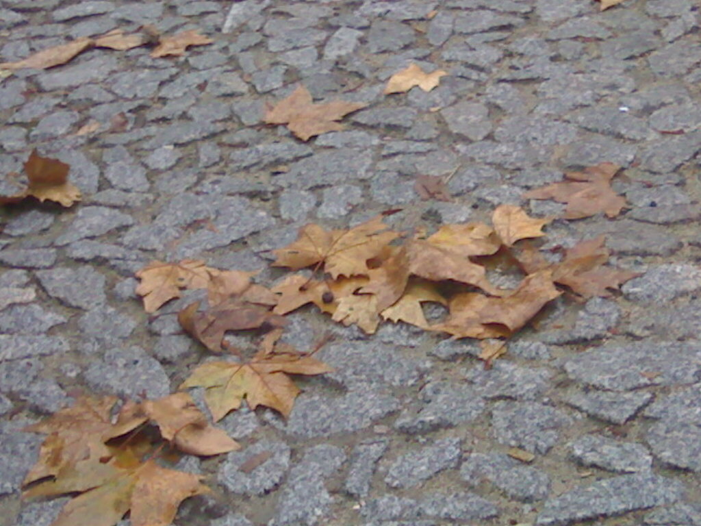 [03122008286.jpg]