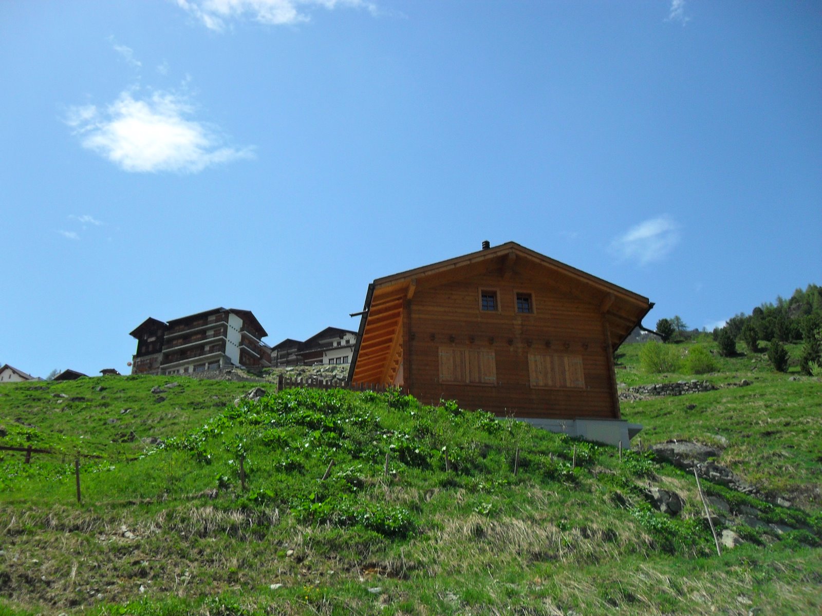 [SDC10716.JPG]