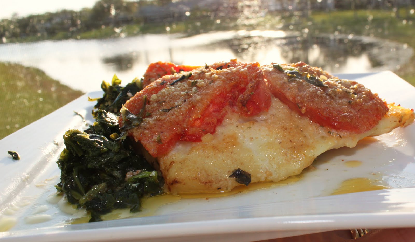 Baked Haddock with Spinach and Tomatoes Recipe What's Cookin' Italian