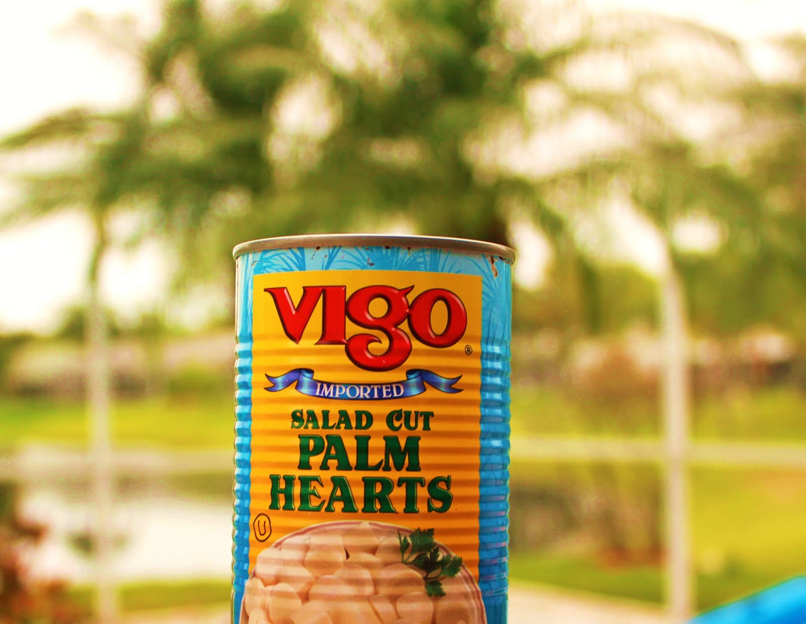 Deep Fried Hearts of Palm Recipe What's Cookin' Italian Style Cuisine