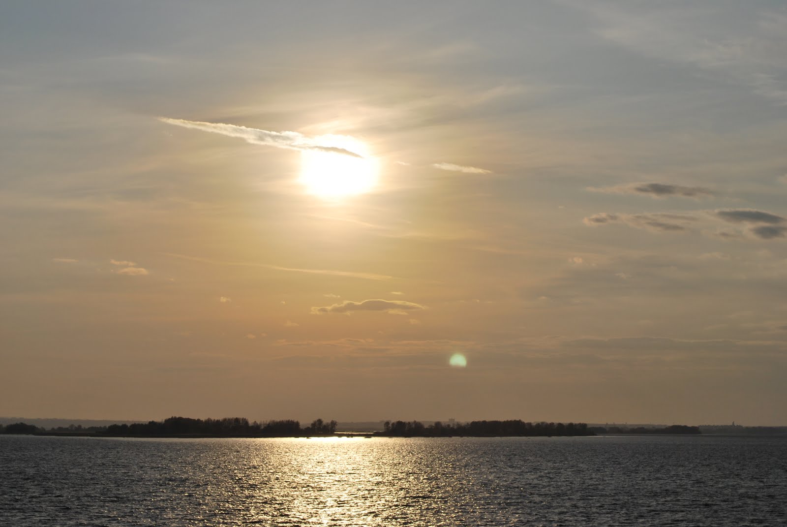 [DSC_0445.JPG]