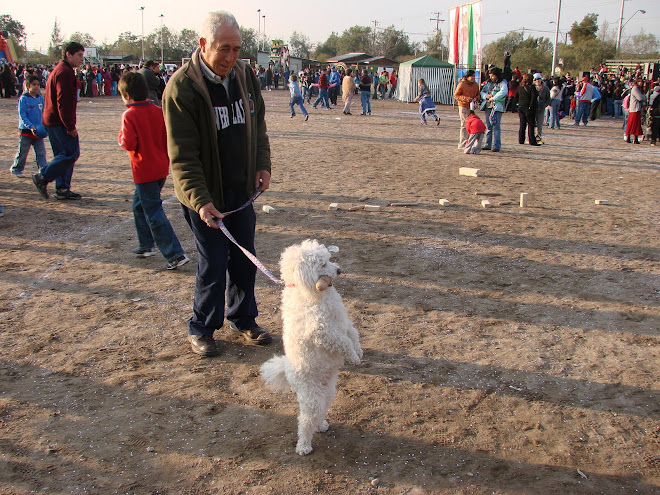 En pleno juego del kubb