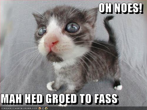lolcat-funny-picture-my-head-grew-too-fast.jpg
