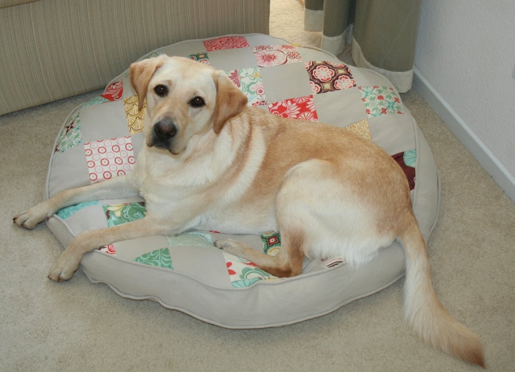 Ours for a Year Summer Dog Bed