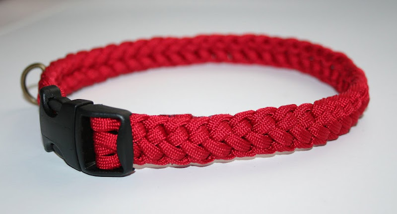 paracord dog collar in red