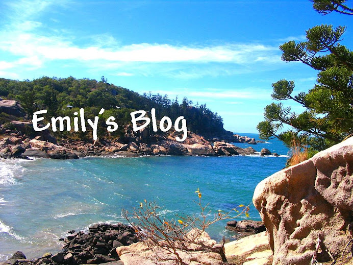 Emily's Blog