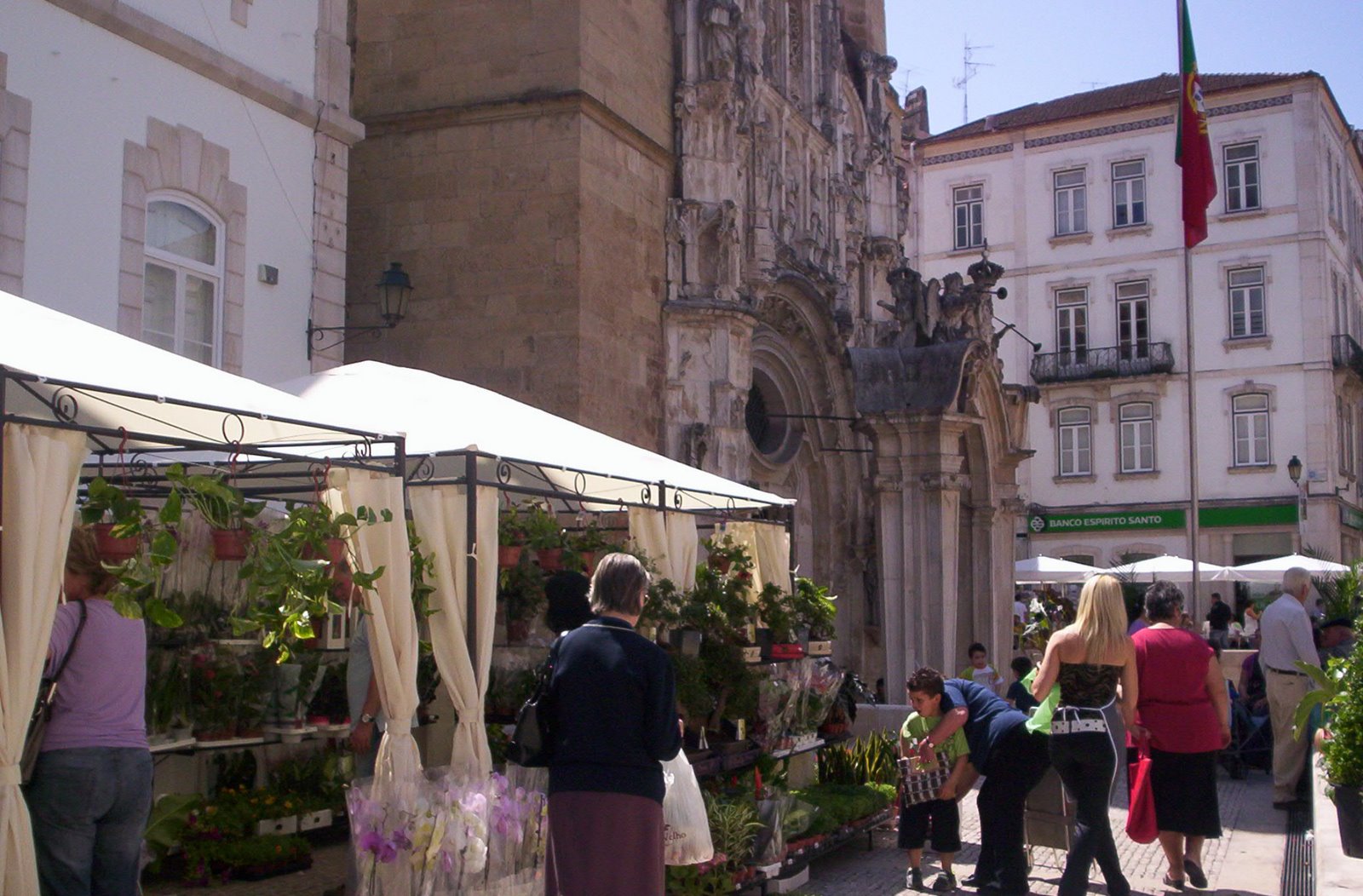 [Imagem+2354.jpg]