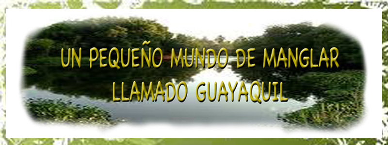 Un pequeño mundo de manglar llamado Guayaquil