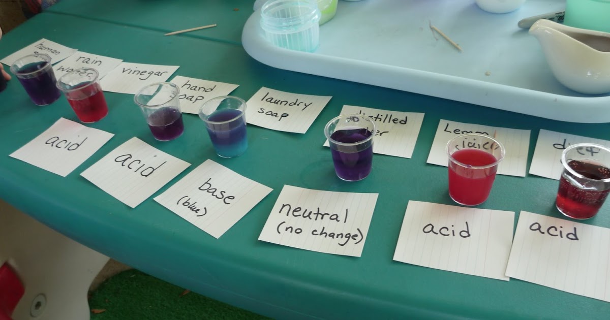 The Homeschool Den Experiment 13 Red Cabbage pH Indicator Results