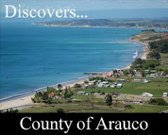 Knows the County of Arauco, Region of the Bío-Bío, Chile
