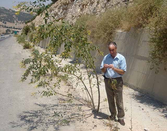The Corner Office No such thing as a mustard tree?