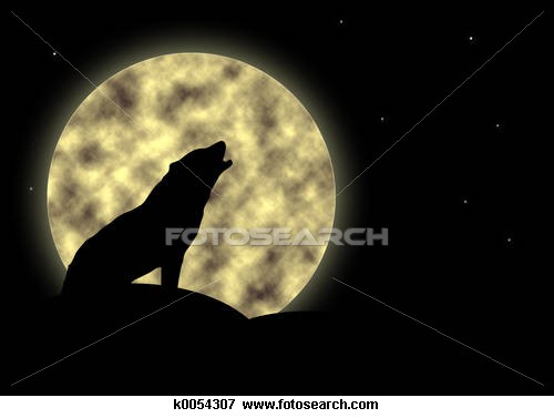 [Howl+at+the+moon.jpg]