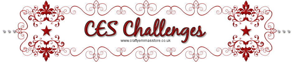 CES Challenge Blog