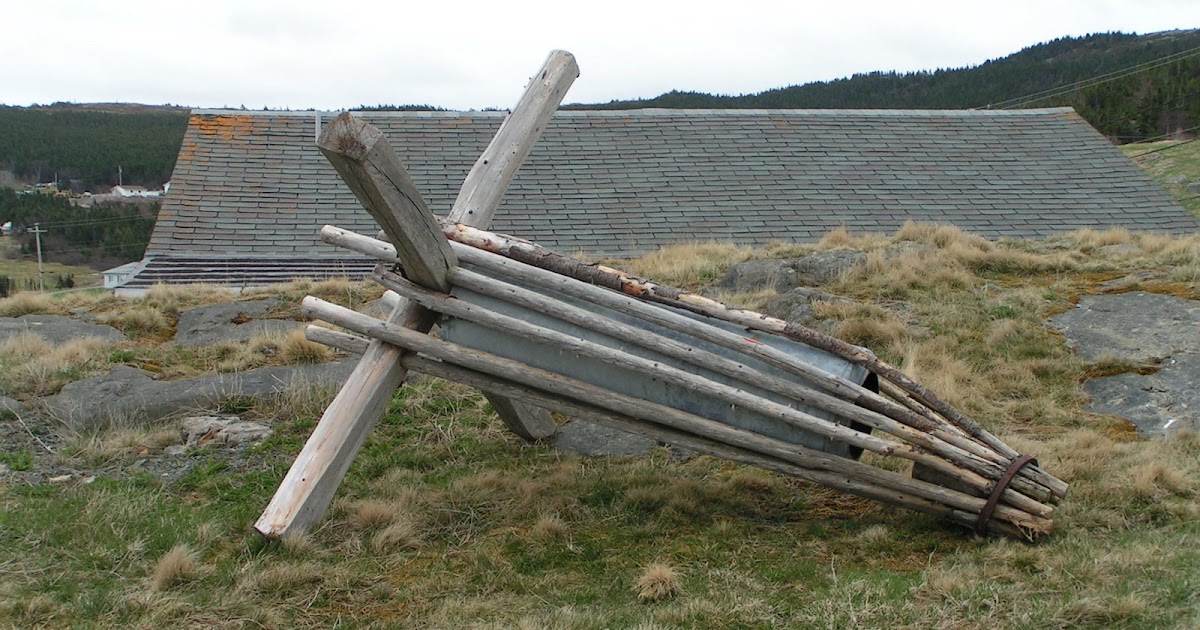 Illustrated Life Killick