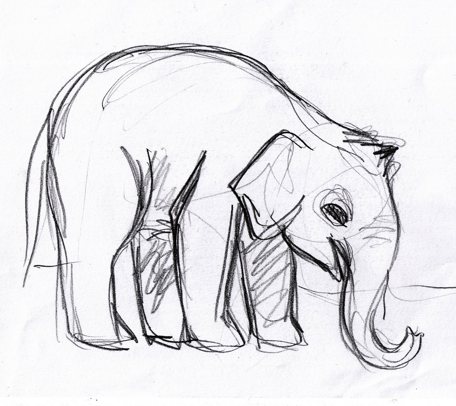 Baby Elephant Drawings