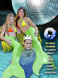 Miami Mermaids Sponsor The Save our Seas Foundation