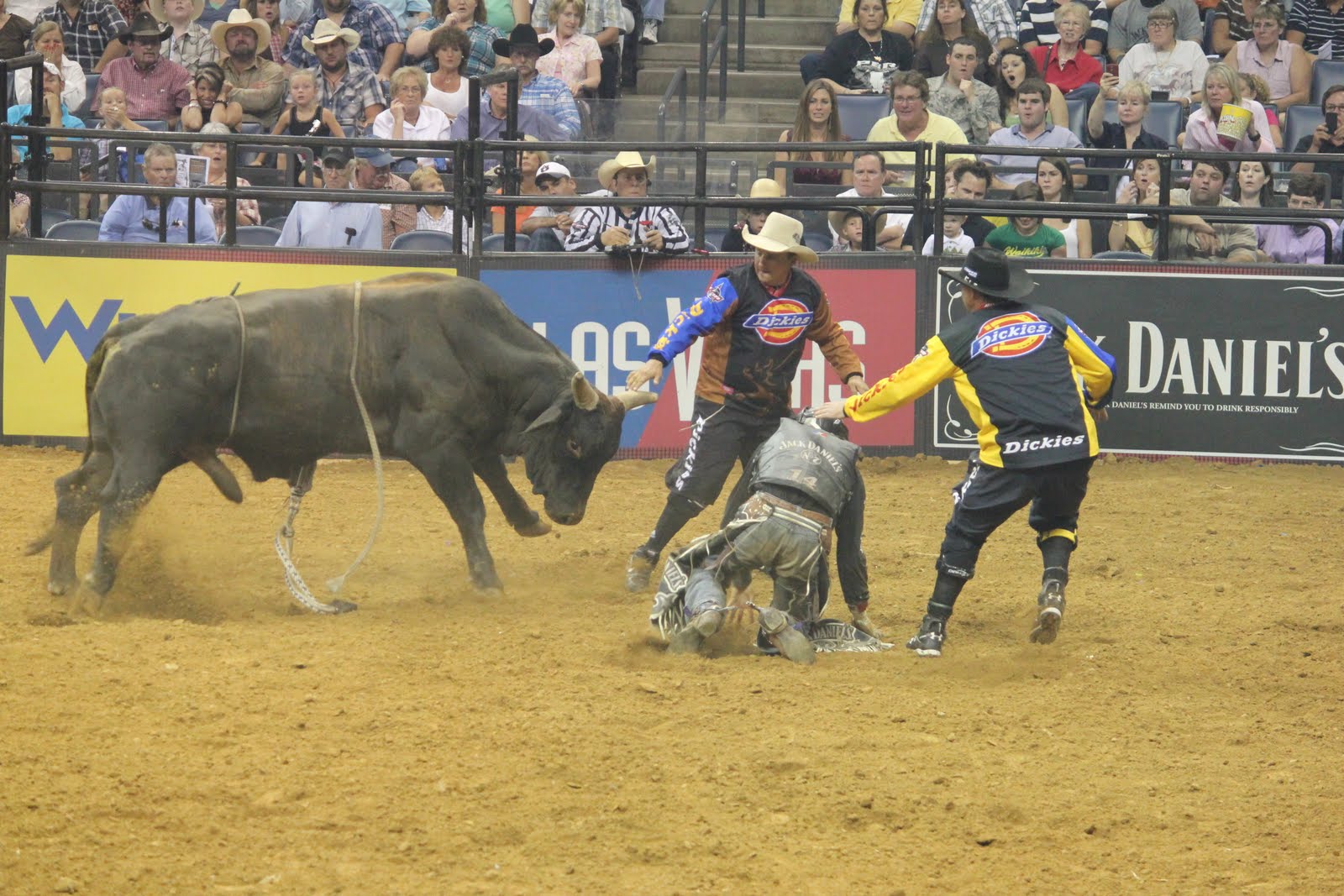 Bull Fighting Pbr Bullfighters