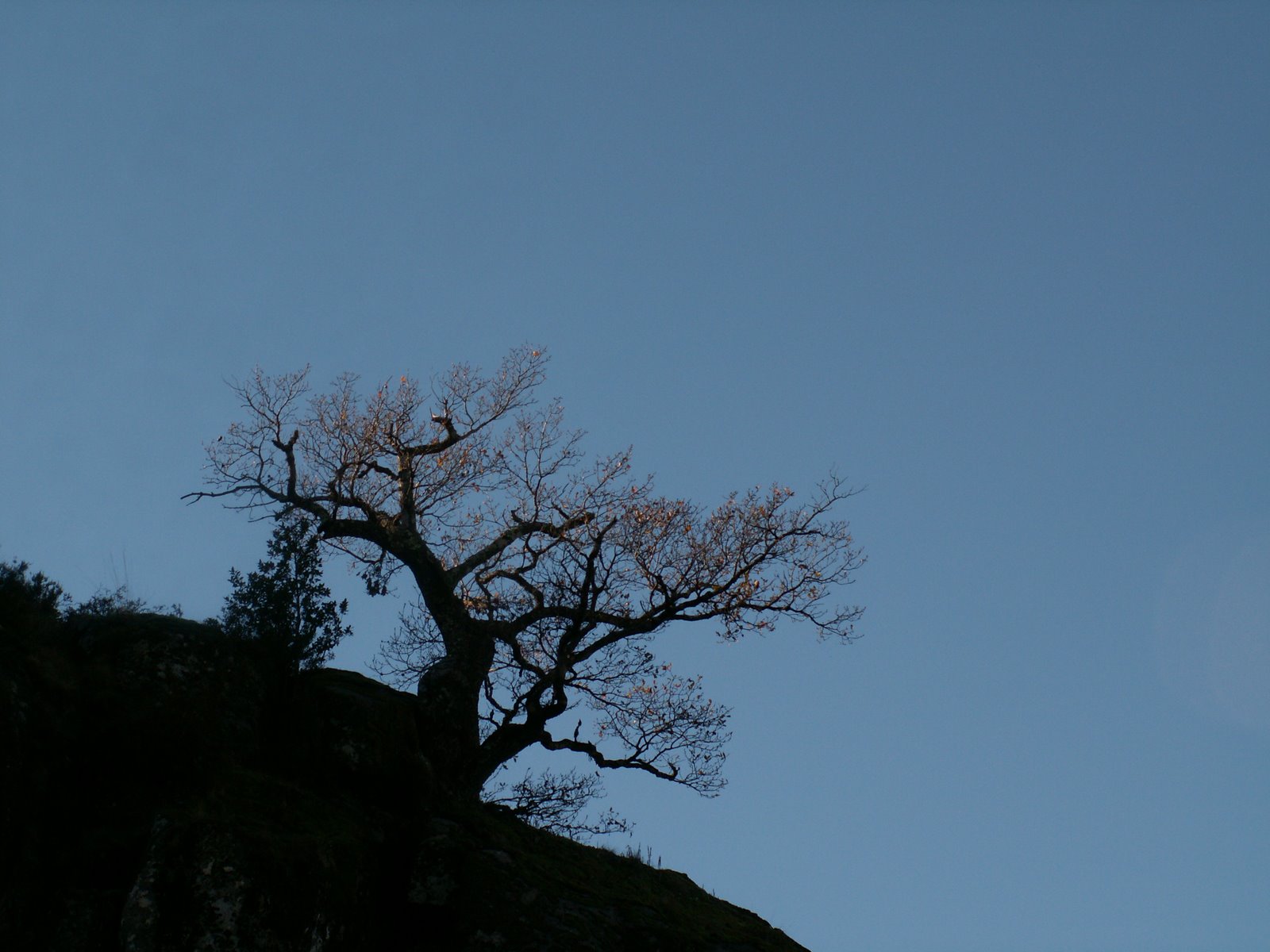 [PICT6165.JPG]