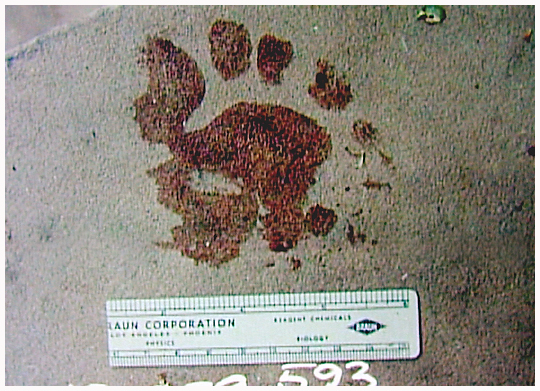 [!SUSANS%20FOOTPRINT.jpg]