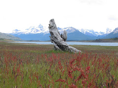 Lago Roca, Patagonia