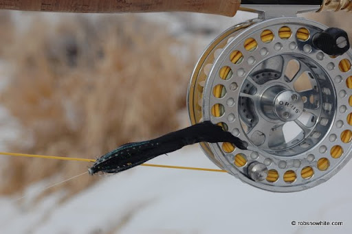 fly frozen to reel