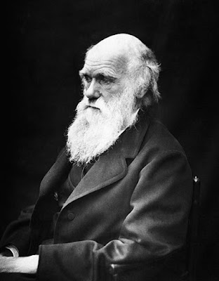 Rare Charles Darwin Book Found on Toilet Bookshelf