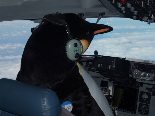 [penguin-pilot-500x375.jpg]