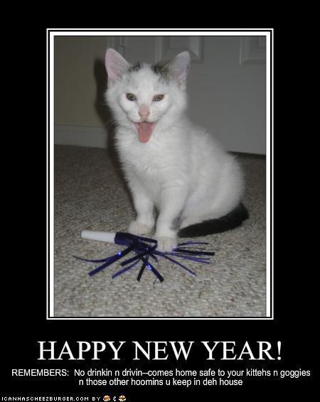 Grumpy cat happy new year meme Slavenka & Obi: December 2010