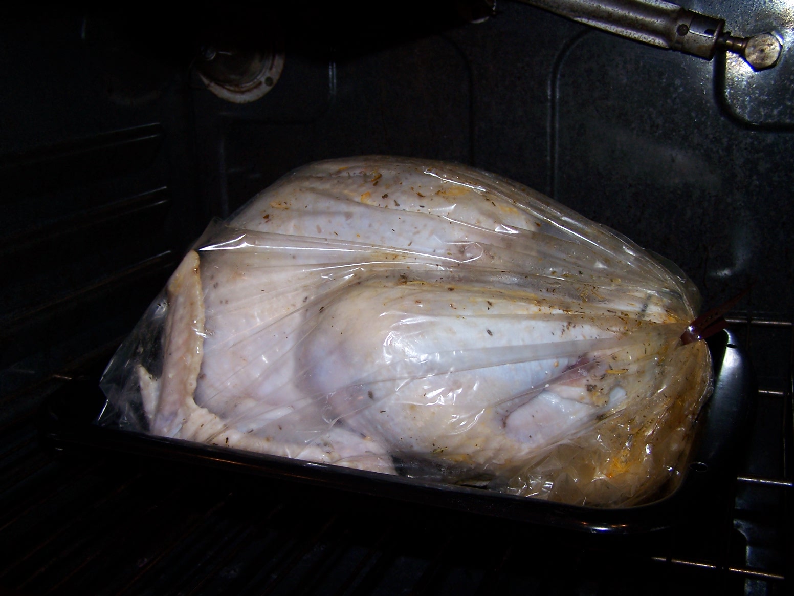 Turkey Bag