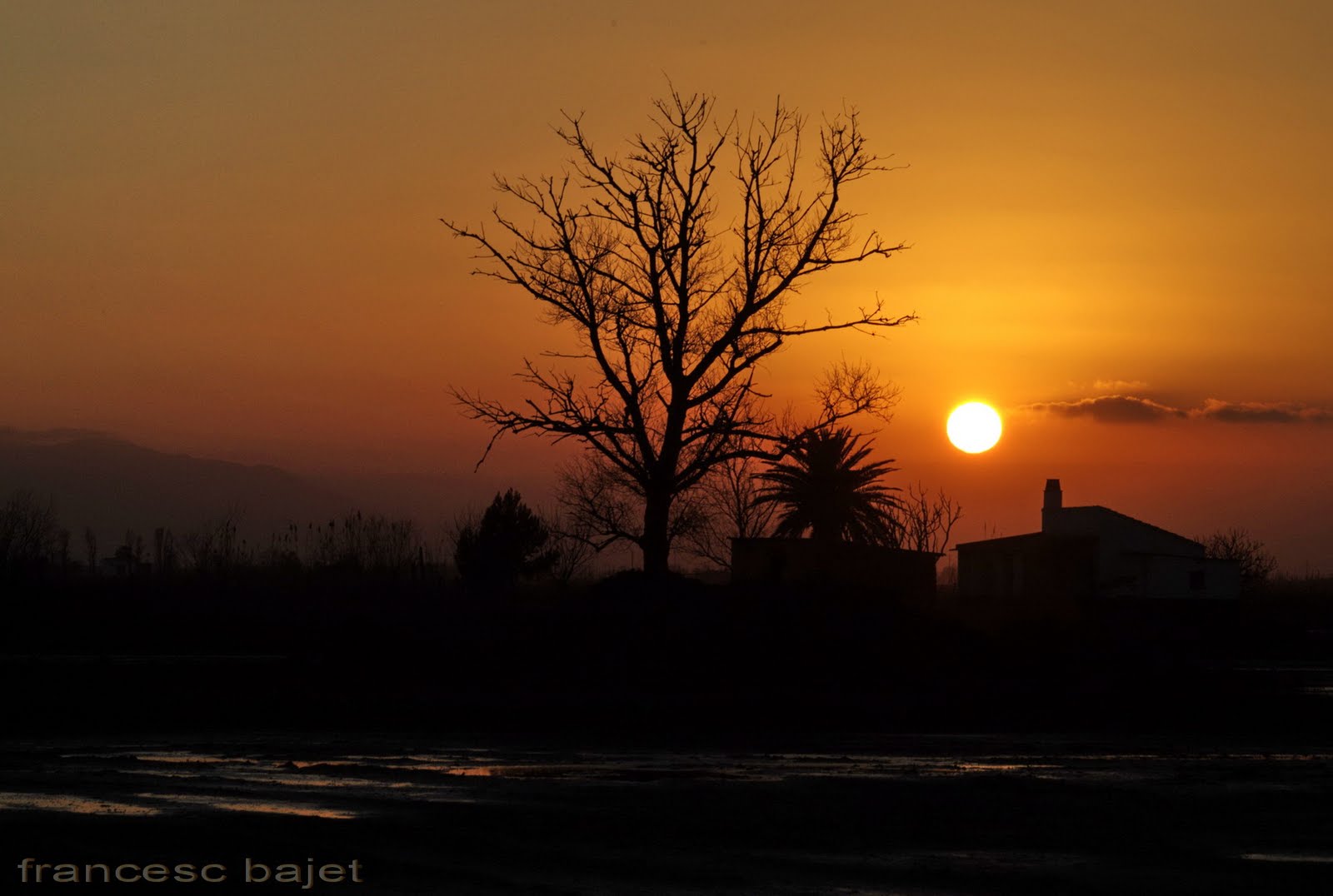 [10690+FDF+-Deltebre+-FEB.2009+-.jpg]